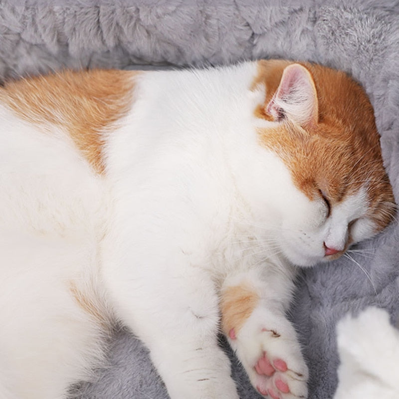 HOOPET Cama Casa para Gatos y Perros Pequeños – Cojín Suave de Peluche para Invierno