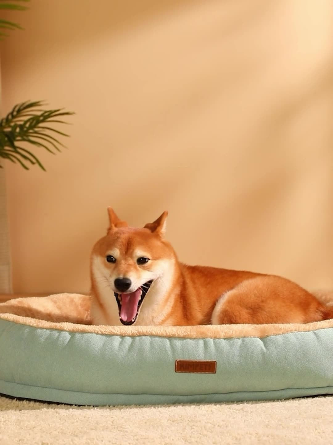 Caseta Ovalada para Gatos y Perros – Cama Cálida de Peluche Resistente a Mordidas
