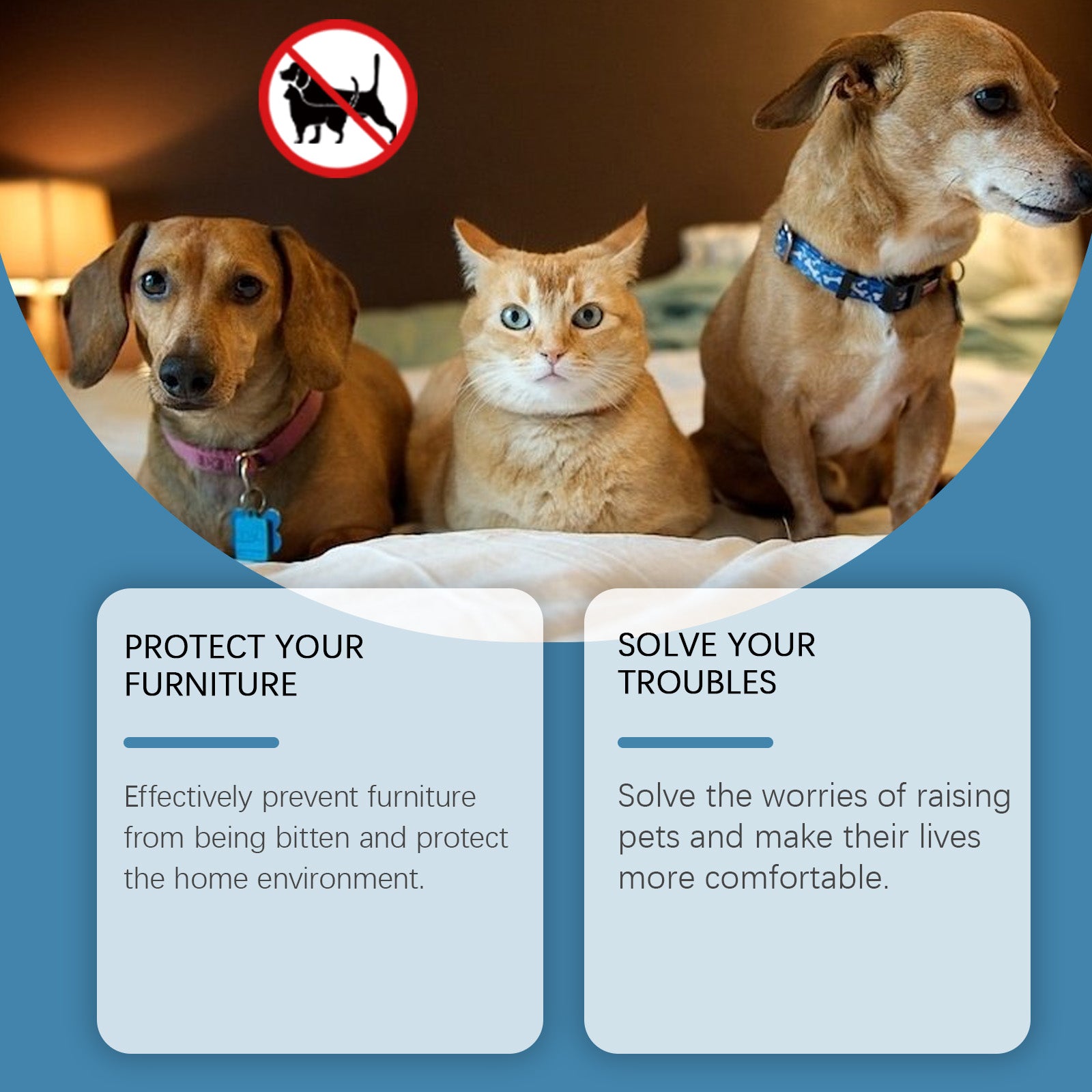 Crema Repelente para Mascotas – Disuasorio Natural para Gatos y Perros, Evita Mordiscos y Orines