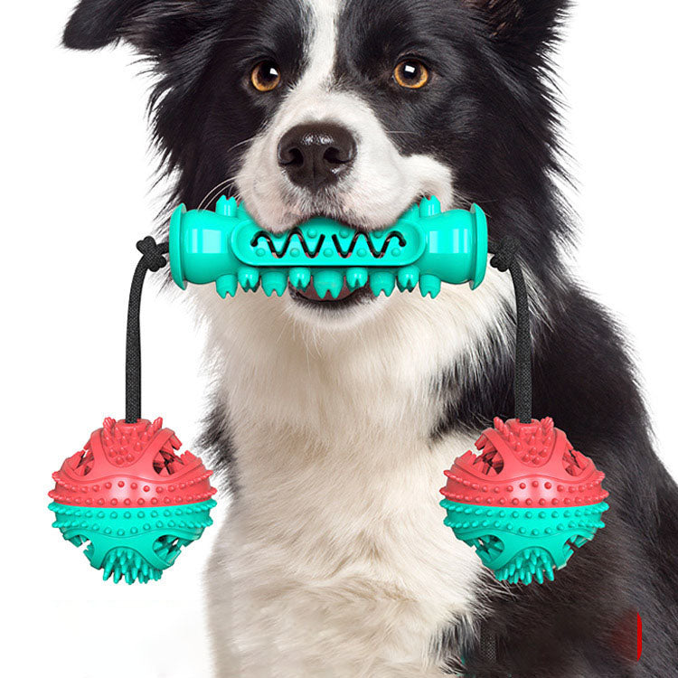 Palo Molar para Perros – Juguete Resistente a Mordidas con Cuerda y Cepillo Dental (Pack de 3)