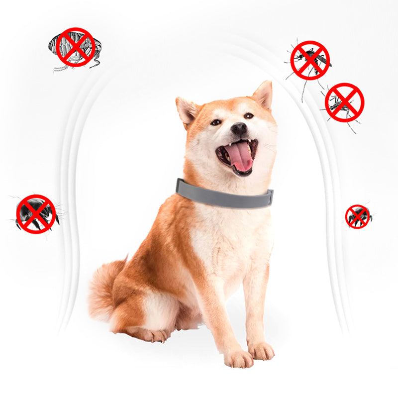 1Pc Pet Collar Remove Flea Mosquito Repellent Dog Natural Insect Repellent Collar Outdoor Protective Adjustable PET Collar
