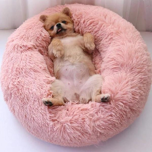 Cama de Peluche para Mascotas – Caseta Acogedora para Perros y Gatos