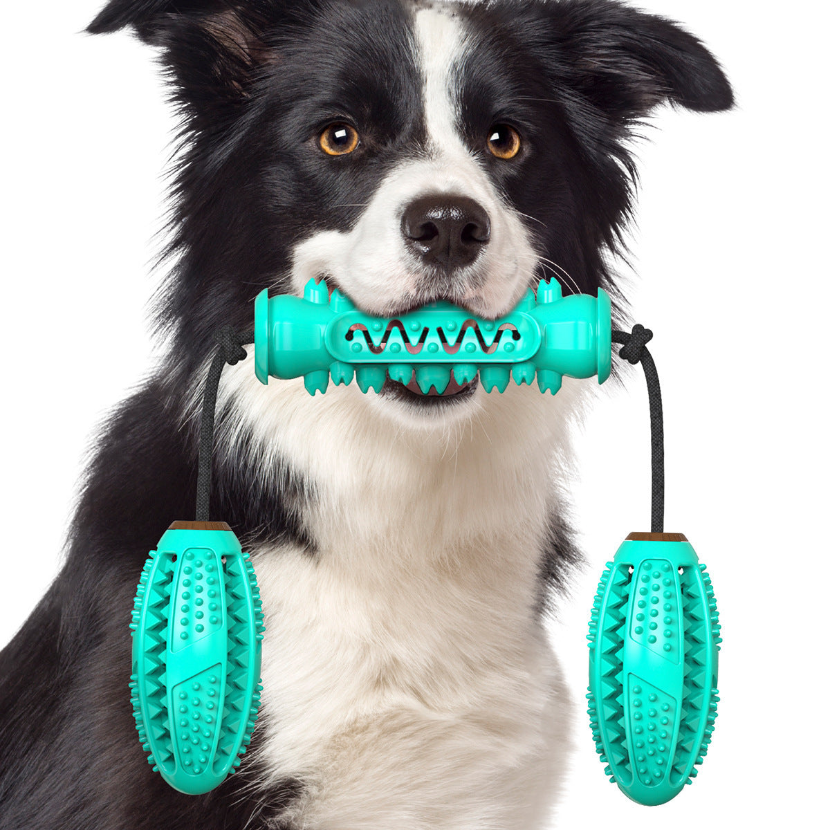 Palo Molar para Perros – Juguete Resistente a Mordidas con Cuerda y Cepillo Dental (Pack de 3)
