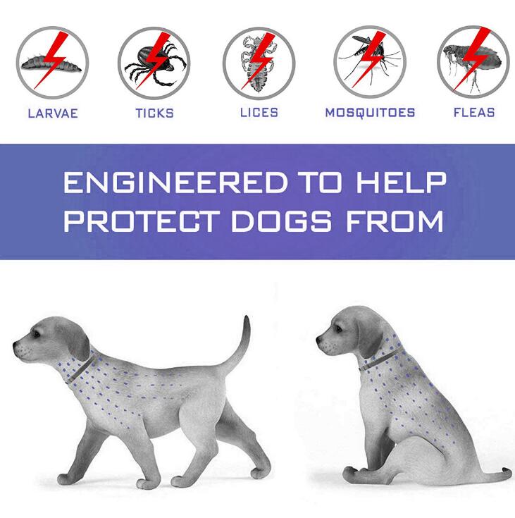 1Pc Pet Collar Remove Flea Mosquito Repellent Dog Natural Insect Repellent Collar Outdoor Protective Adjustable PET Collar