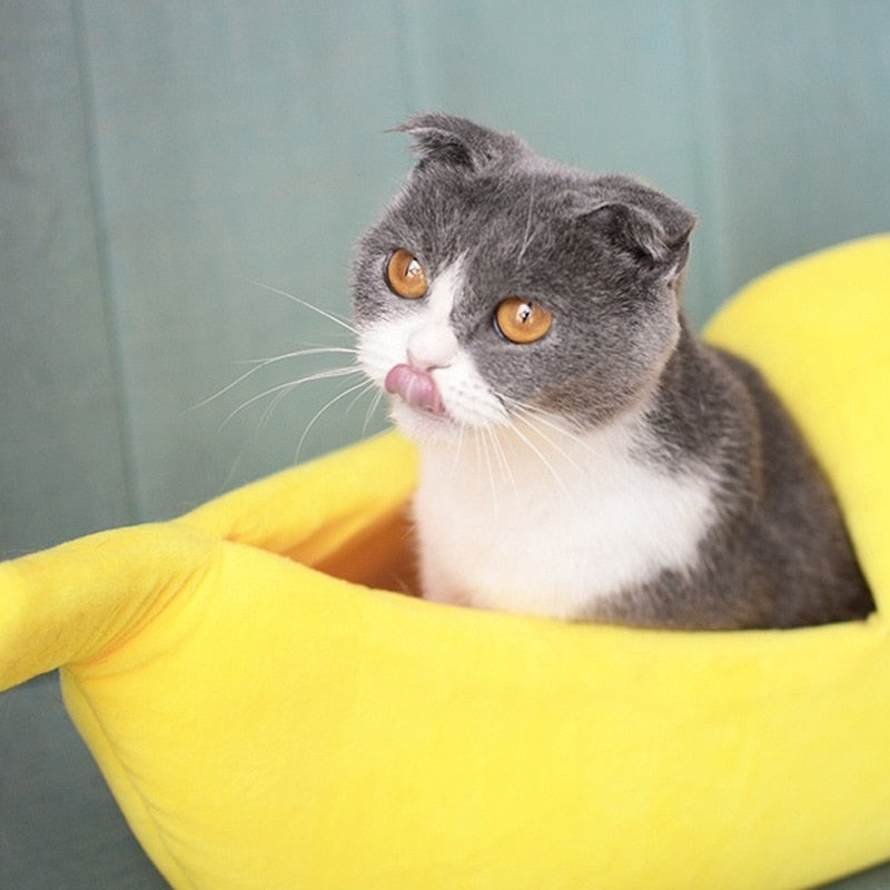 Cama para Gatos con Forma de Plátano – Cesta Acogedora y Divertida en 4 Colores y 4 Tallas