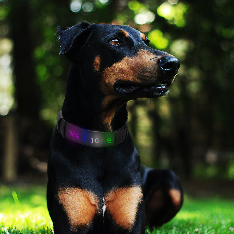 Collar inteligente LED para perros – Pantalla personalizable, protección anti-pérdida y batería recargable por USB